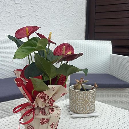 Appartamento Giardini Naxos Butterflies Home Schiso Exterior foto